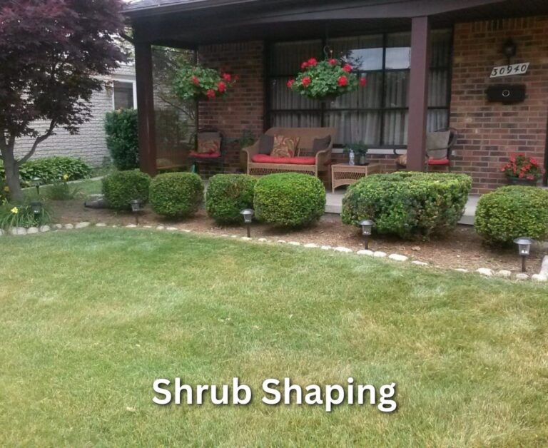 Shrub shaping 1